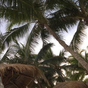 Meet your Posher, Chloe